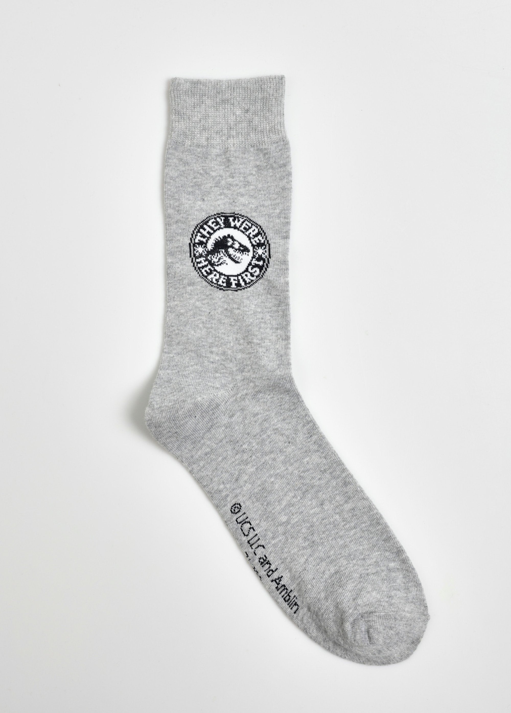Pair_of_socks,_Jurassic_World_Gray_DE1_slim