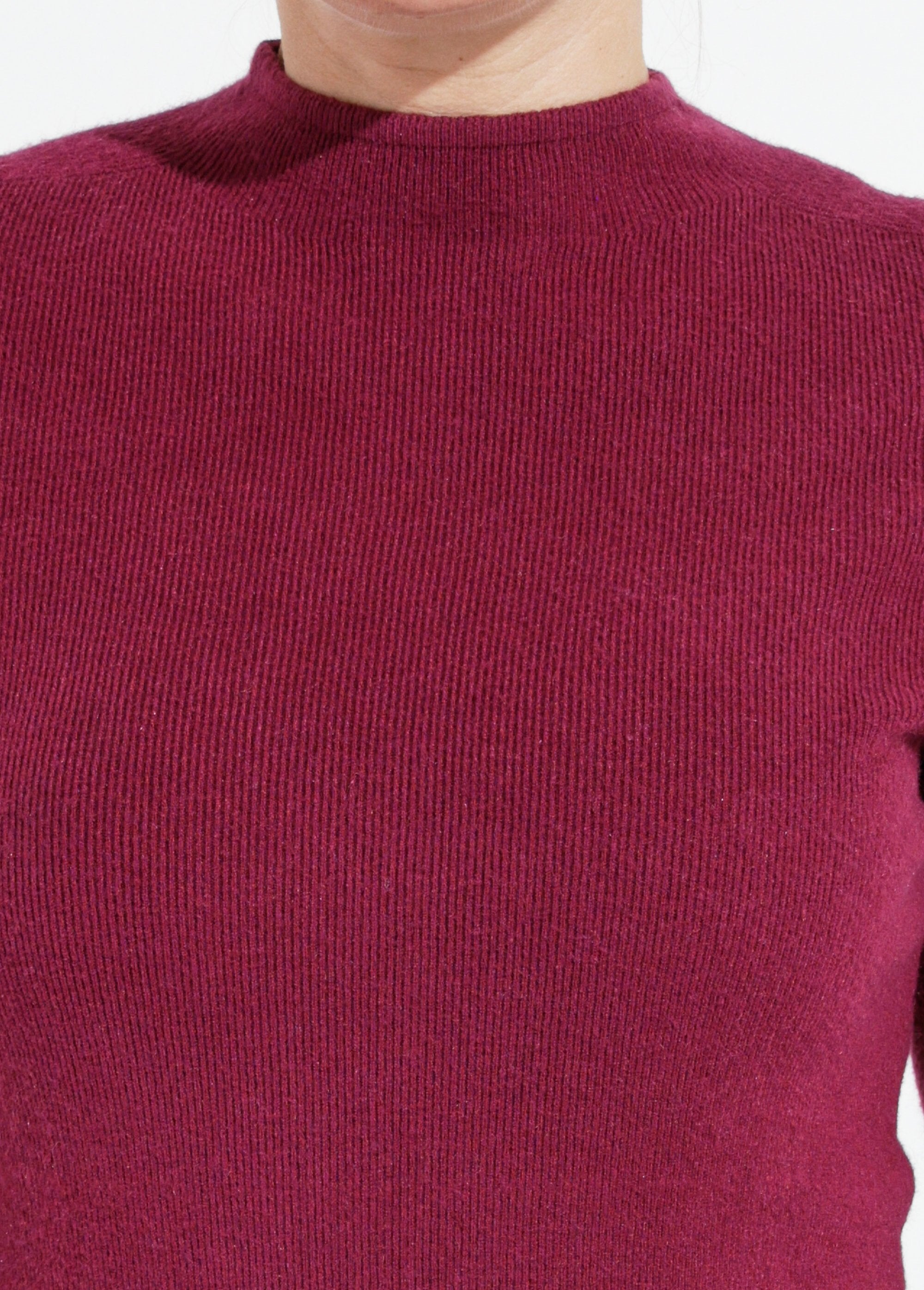 Slim_fit_roll_neck_sweater_Bordeaux_DE1_slim