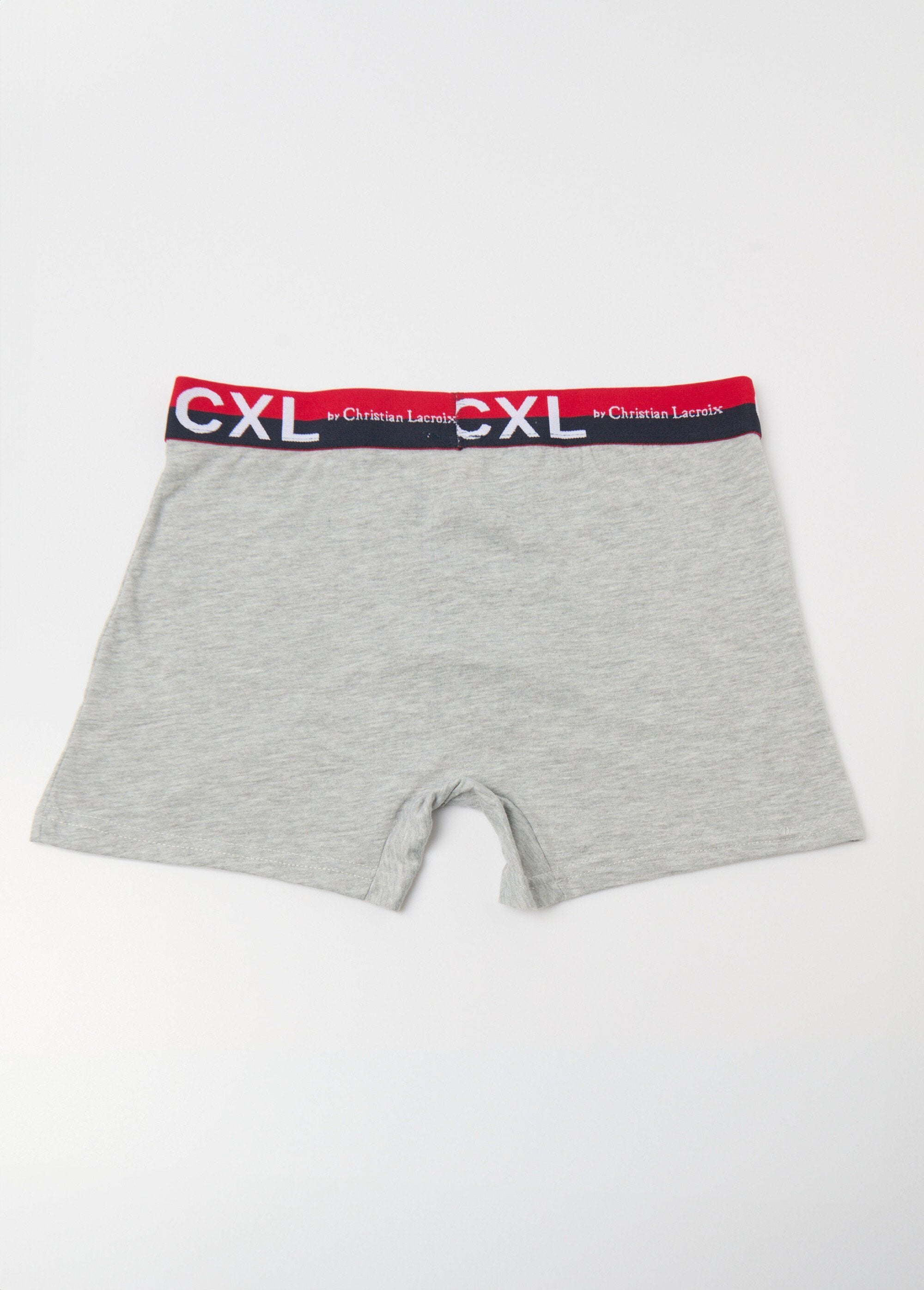 Pack_of_4_plain_boxers_with_logo_waistband_Light_gray_DO1_slim