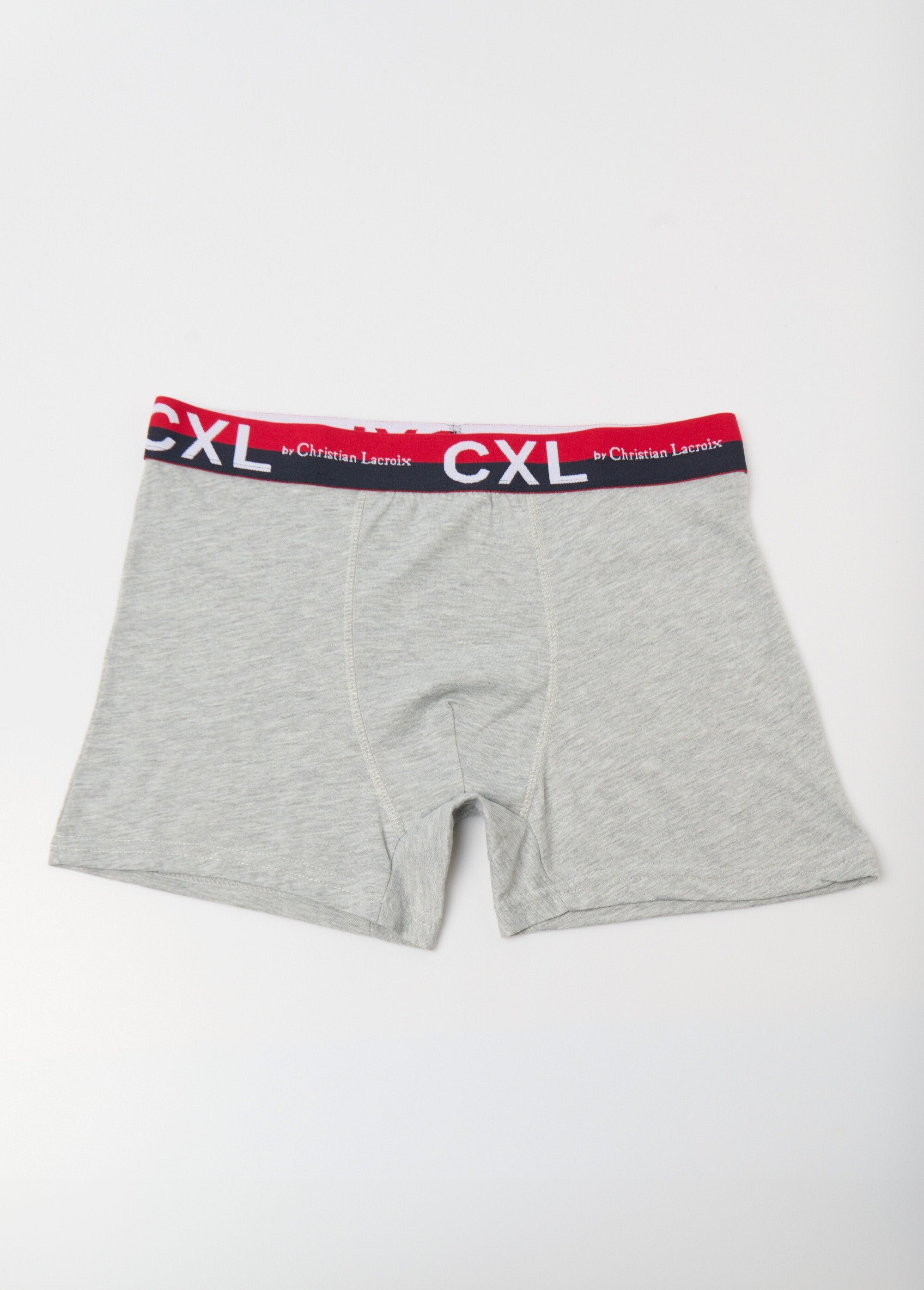 Pack_of_4_plain_boxers_with_logo_waistband_Light_gray_FA1_slim