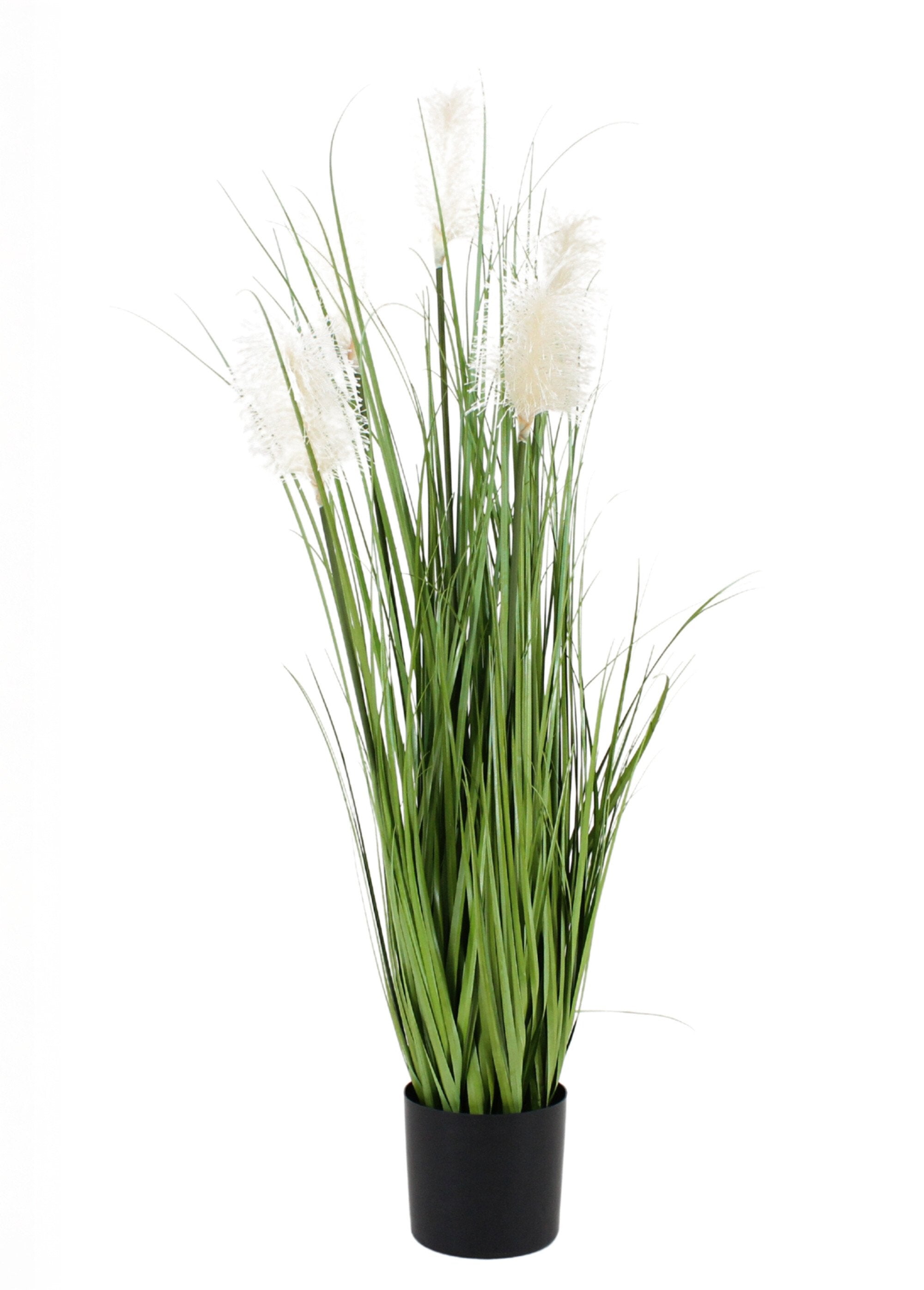 Artificial_Pampas_Grass_Plant_Black_FA1_slim